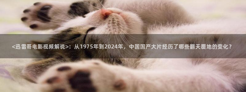 午夜影院在线在线观看：<迅雷哥电影视频解说>：从1975年到2024年，中国国产大片经历了哪些翻天覆地的变化？