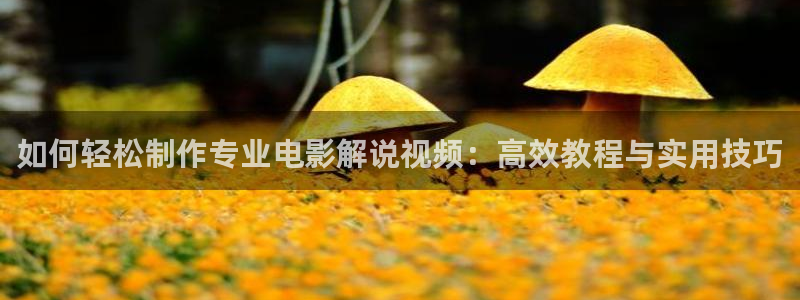 午夜爽电影：如何轻松制作专业电影解说视频：高效教程与实用技巧