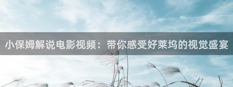 神马影院我不卡午夜伦理：小保姆解说电影视频：带你感受好莱坞的视觉盛宴