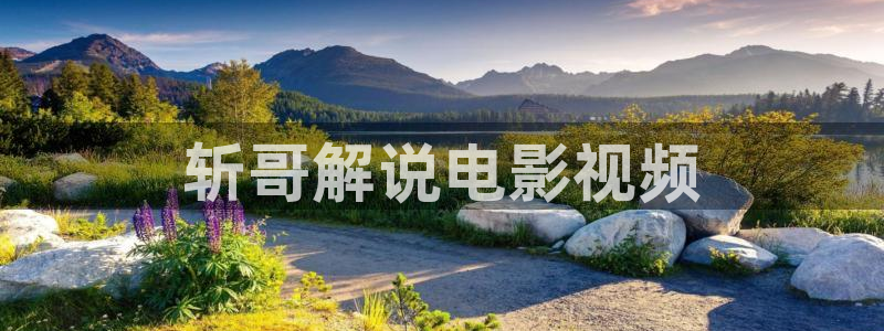午夜男生电影：斩哥解说电影视频