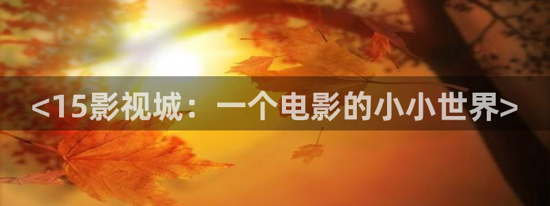 午夜司机电影：<15影视城：一个电影的小小世界>