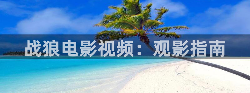 神马午夜电影网络：战狼电影视频：观影指南