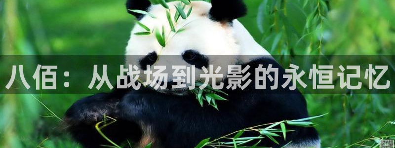 午夜男女大片：八佰：从战场到光影的永恒记忆