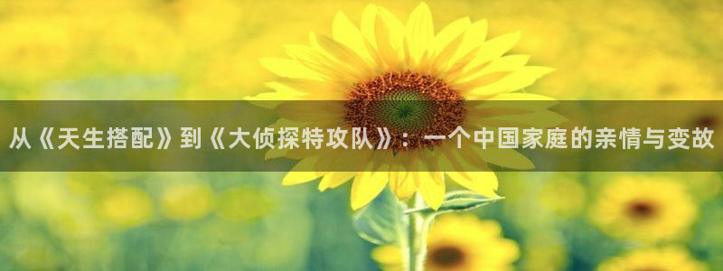 午夜电影福利av：从《天生搭配》到《大侦探特攻队》：一个中国家庭的亲情与变故