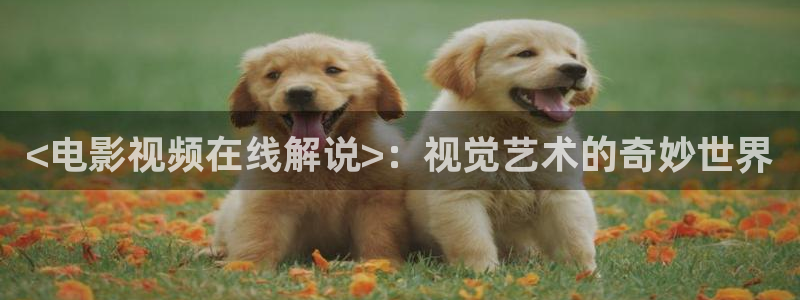 午夜av专区：<电影视频在线解说>：视觉艺术的奇妙世界