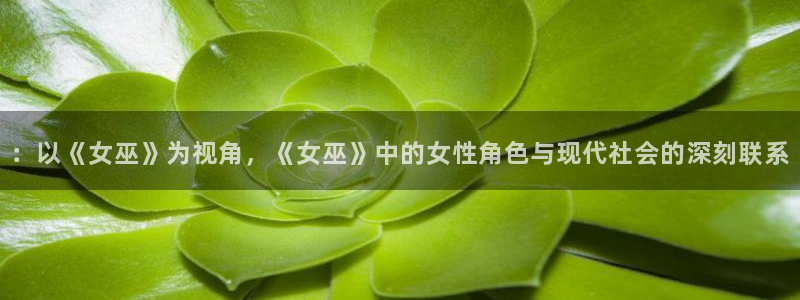 成人午夜影院在线播放：：以《女巫》为视角，《女巫》中的女性角色与现代社会的深刻联系