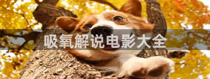 秋霞午夜理论电影2019中文：吸氧解说电影大全