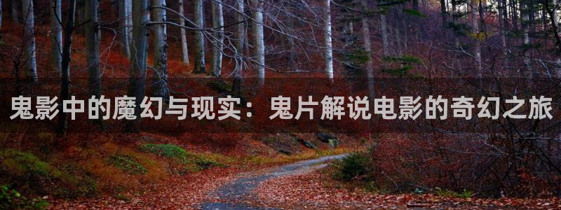 啪啪啪午夜影院：鬼影中的魔幻与现实：鬼片解说电影的奇幻之旅
