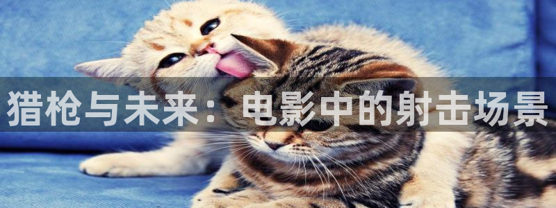秋霞电影院午夜仑片：猎枪与未来：电影中的射击场景