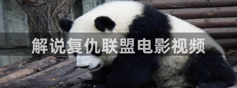 午夜电影网2020：解说复仇联盟电影视频