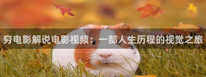八戒影院午夜剧场：穷电影解说电影视频：一部人生历程的视觉之旅