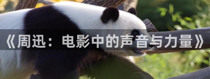 午夜电影网中文字幕：《周迅：电影中的声音与力量》