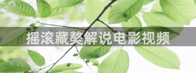 欧美伦理午夜在线：摇滚藏獒解说电影视频