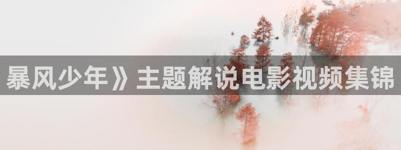 神马手机午夜电影院：暴风少年》主题解说电影视频集锦