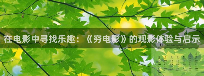 秋霞电影院午夜电影：在电影中寻找乐趣：《穷电影》的观影体验与启示