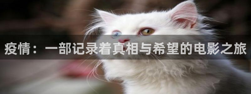 成人午夜免费电影网站：疫情：一部记录着真相与希望的电影之旅