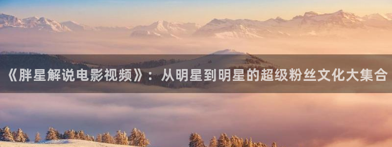 神马午夜三级伦理：《胖星解说电影视频》：从明星到明星的超级粉丝文化大集合