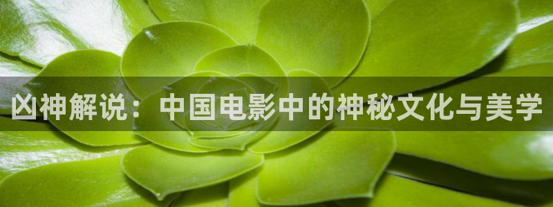 神马午夜秋霞电影：凶神解说：中国电影中的神秘文化与美学
