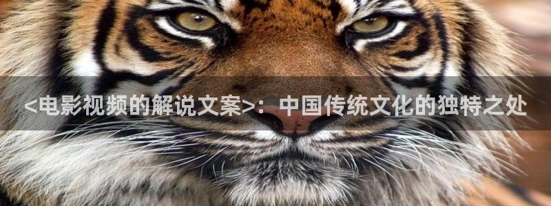 成人午夜免费福利影院：<电影视频的解说文案>：中国传统文化的独特之处