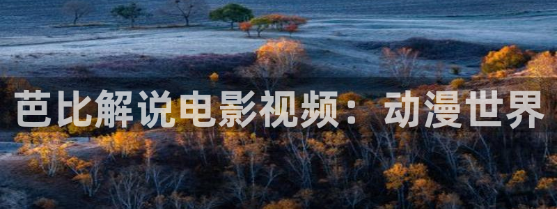 澳门午夜在线：芭比解说电影视频：动漫世界