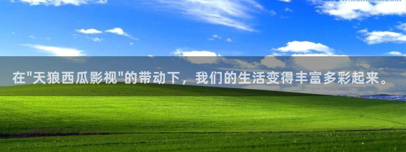 日本欧美午夜电影在线观看：在\